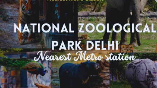 national zoological park delhi ticket