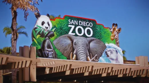 San Diego Zoo tickets price