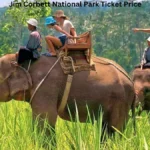 Jim Corbett National Park Ticket Price: Complete Guide for 2025