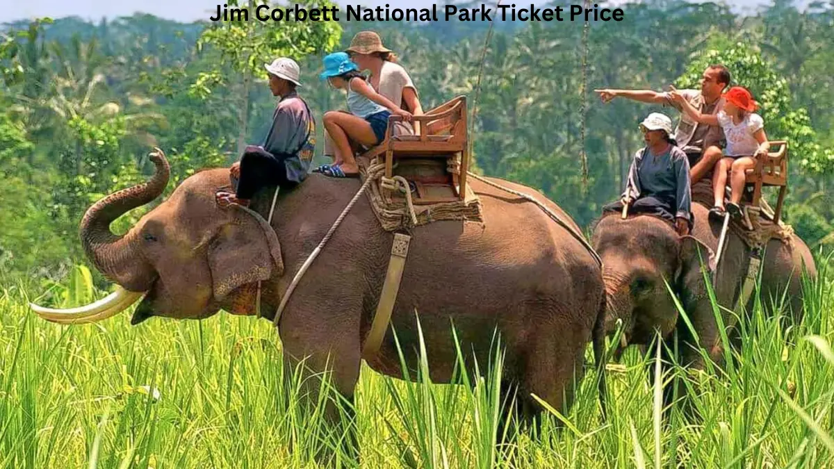 Jim Corbett National Park Ticket Price: Complete Guide for 2025