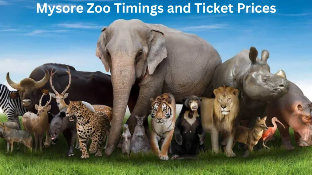 Mysore Zoo Timings and Ticket Prices